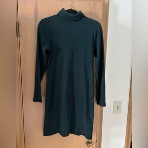 Long Sleeve turtleneck dress